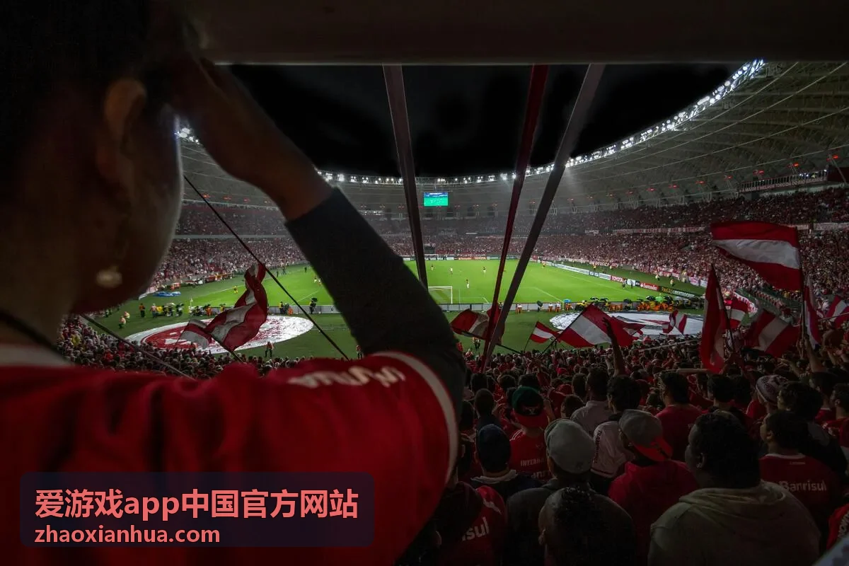 爱游戏app中国官方网站客户端安装后异常排查示意